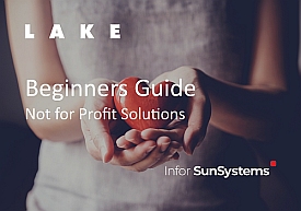 Not for Profit Solutions Beginners Guide