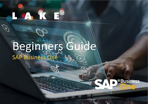 SAP Business One Beginners Guide