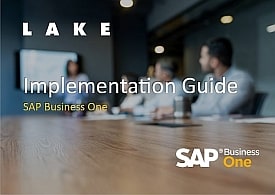 SAP Business One Implementation Guide