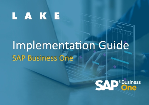 SAP Business One Implementation Guide