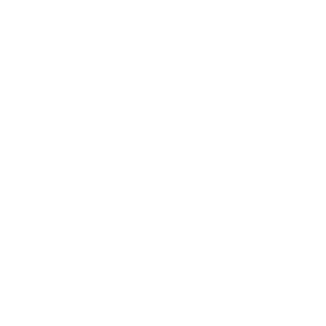 Webinar icon